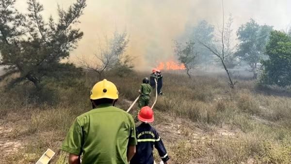 Nhiều giải pháp phòng, chống cháy rừng tại Quảng Bình
