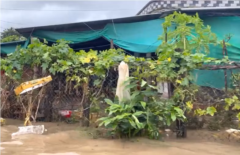 Thêm 4 người tử vong ở Đắk Lắk do mưa lũ, địa phương đề nghị hỗ trợ khẩn cấp 2.000 tấn lương thực -0