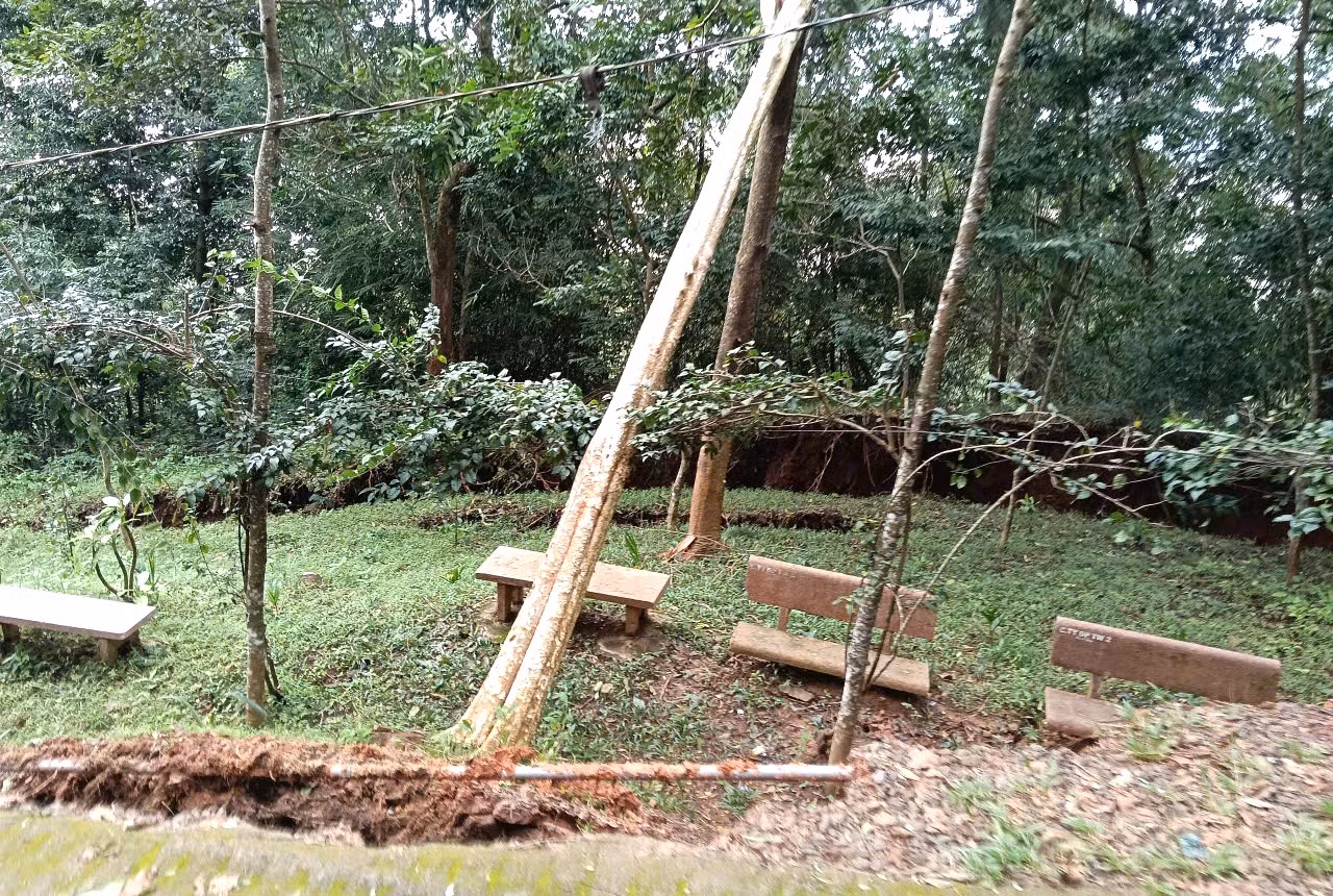 Quả đồi nứt toác nhiều mảng lớn, di dời hàng chục hộ dân đến nơi an toàn -0