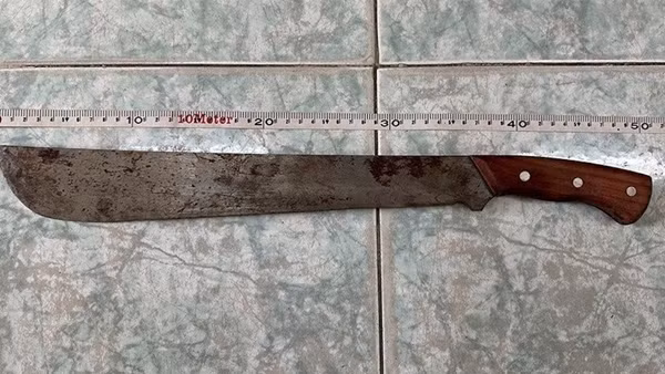 Tạm giữ hai đối tượng gây án giết người