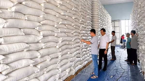 Xuất cấp 4.000 tấn gạo hỗ trợ khẩn cấp cho nhân dân bị thiệt hại do mưa lũ