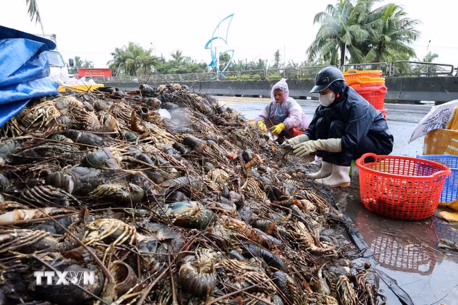 Hỗ trợ khẩn cấp 1.100 tỷ đồng cho 4 tỉnh Khánh Hòa, Lâm Đồng, Gia Lai và Đắk Lắk -0