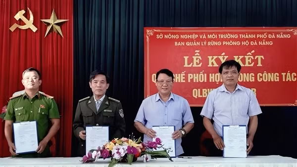 Tăng cường phối hợp quản lý, bảo vệ rừng tại Đà Nẵng