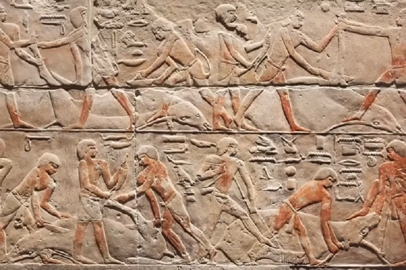 Góc nhìn mới về nền văn minh sông Nile -0