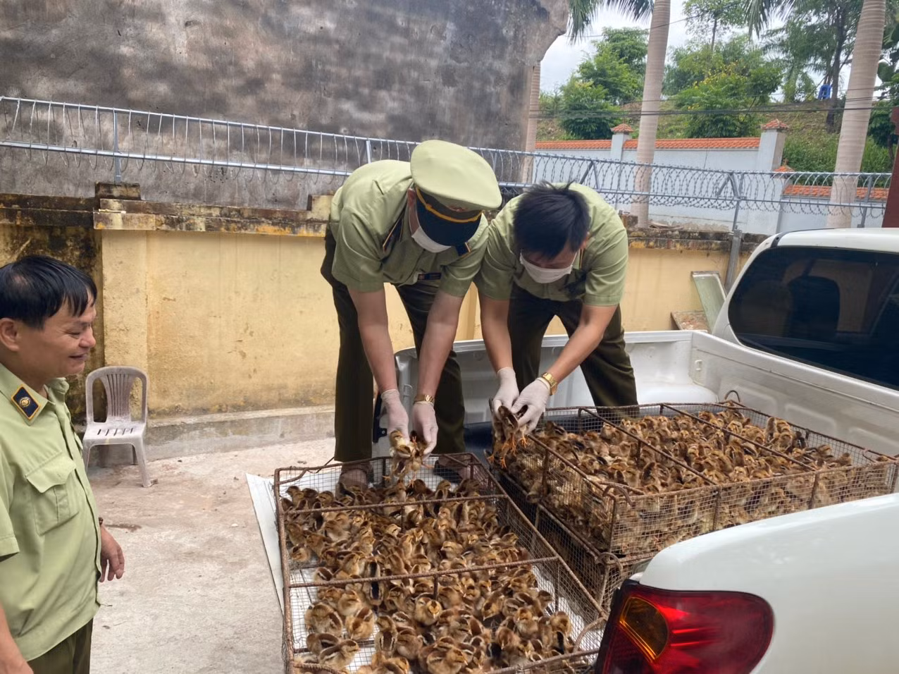 Chấm dứt tình trạng nhập lậu, vận chuyển trái phép động vật -0