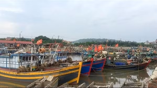 Ngư dân Hải Phòng khốn khổ vì đăng kiểm tàu cá