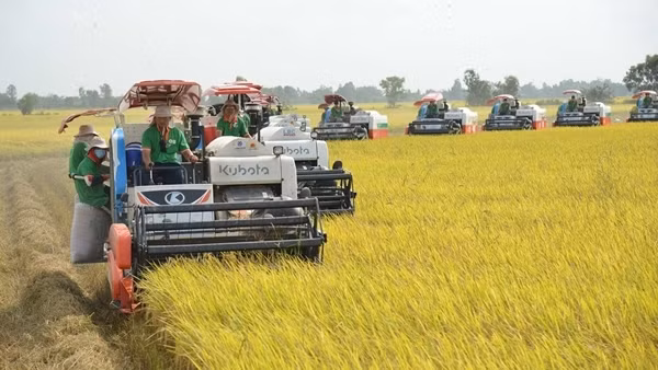 Xuất khẩu từng bước lấy lại đà tăng trưởng