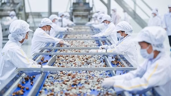 Làm gì để biến “nguy” thành “cơ” trước hàng rào phòng vệ thương mại?