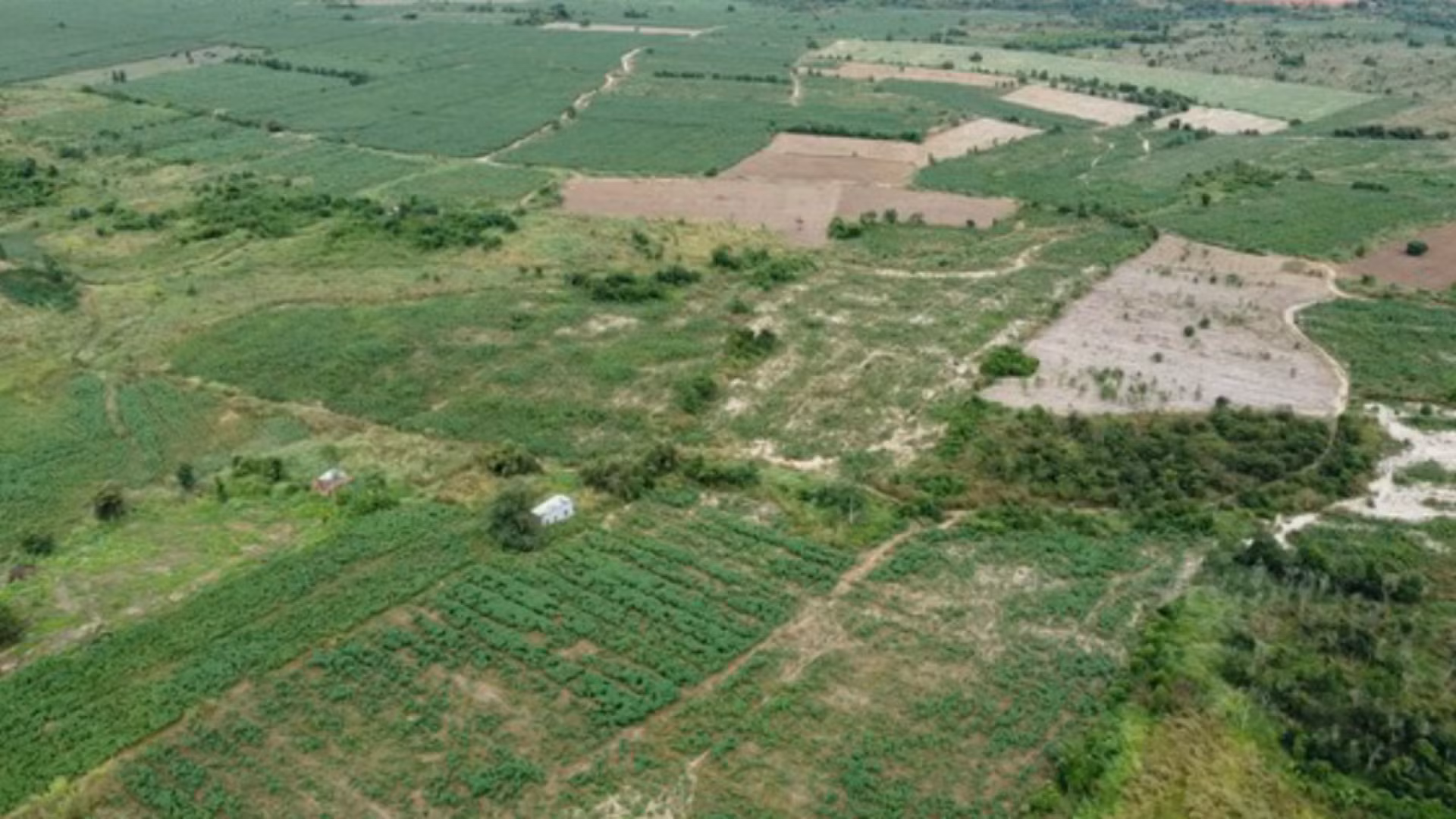 Gần 100ha đất Dự án sân bay Long Thành bị chiếm dụng để trồng sắn -0
