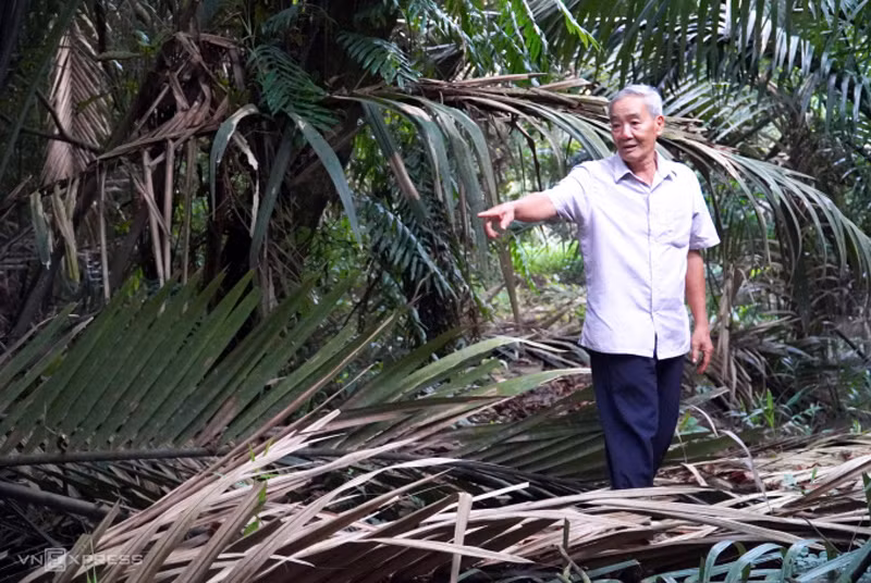 ông lâm văn huy và các thế hệ ông, cha đã nhường 4ha đất để chim trời cư ngụ như một hành động khác biệt với xu thế săn bắt động vật hoang dã- ảnh an minh.jpg -1