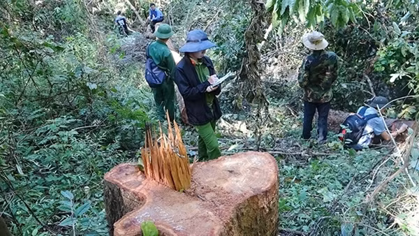 Khẩn trương điều tra, làm rõ vụ cán bộ kiểm lâm bị bắn chết