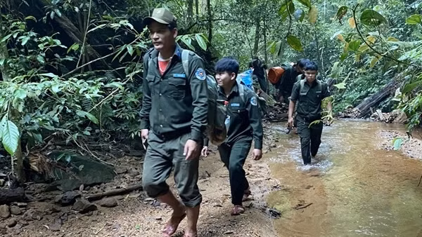 Nỗ lực bảo vệ “lá phổi xanh” ở Nam Giang