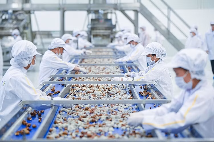 Làm gì để biến “nguy” thành “cơ” trước hàng rào phòng vệ thương mại? -0