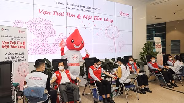 Tuần lễ hồng EVN: “Vạn trái tim – Một tấm lòng”