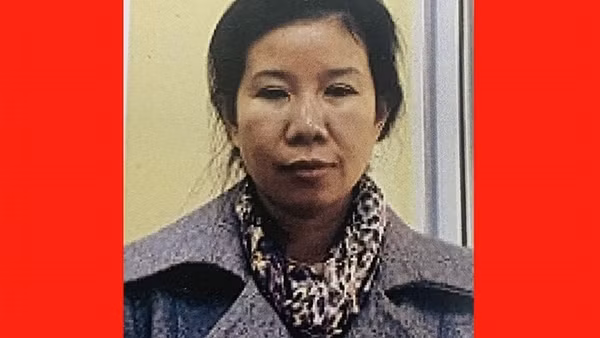 Làm giả giấy chứng nhận chuyên gia để&nbsp; tổ chức cho người nước ngoài nhập cảnh trái phép