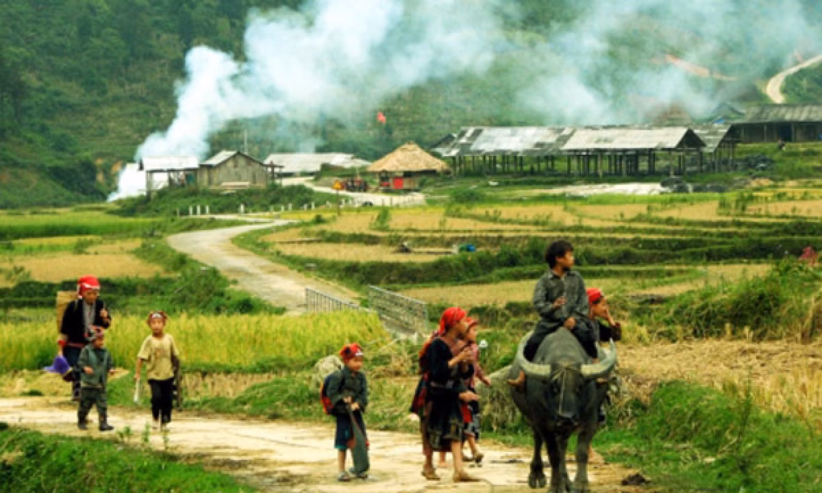 Chất lượng Đảng viên -0