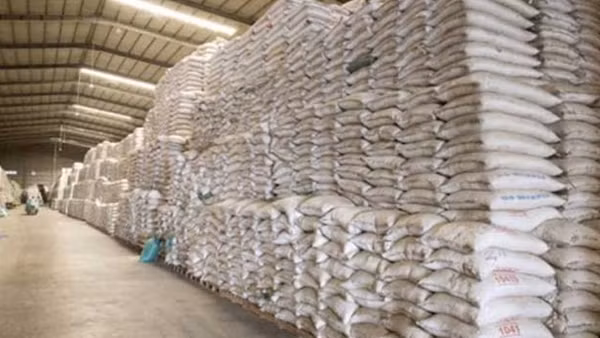 Gia tăng ca mắc COVID-19, Hải Phòng chi viện bác sỹ cho Tây Ninh ảnh 1