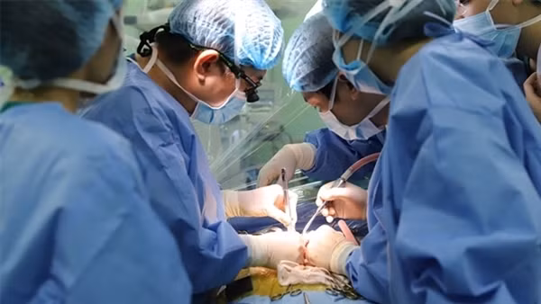 Việt Nam chưa phát hiện trẻ mắc viêm gan cấp tính không rõ nguyên nhân ảnh 2