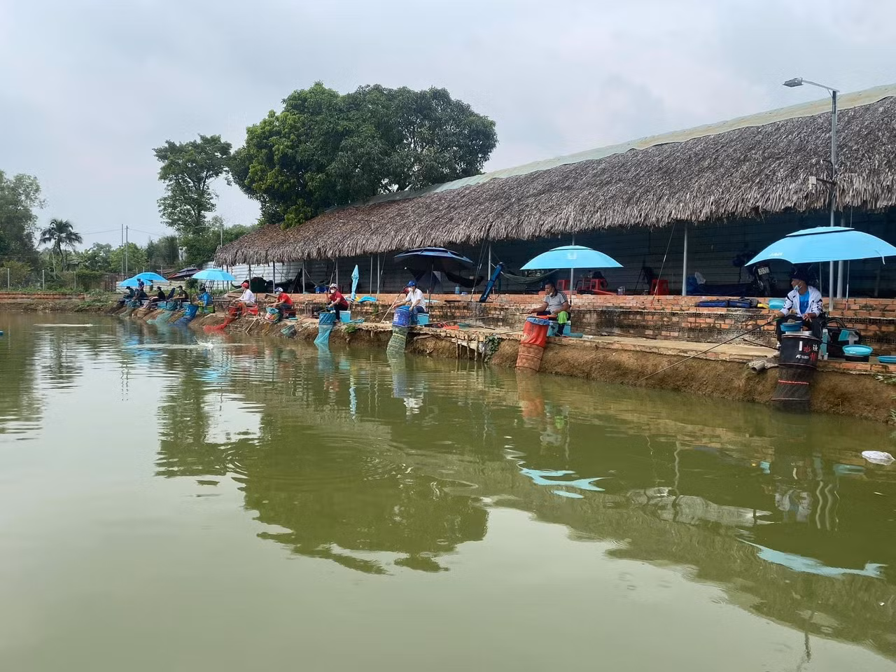 Nở rộ thú chơi câu cá: Đừng biến đam mê thành nỗi buồn -0