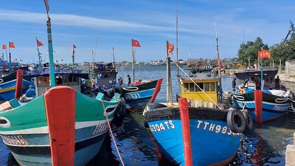 Thừa Thiên-Huế quản lý chống khai thác hải sản bất hợp pháp