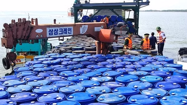 Khởi tố vụ án 7 container vận chuyển gỗ lậu và đá quý hiếm ảnh 4