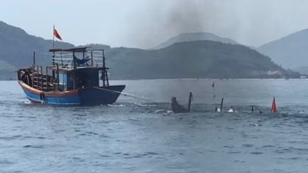 Tàu cá bị tàu hàng đâm chìm giữa biển, 12 ngư dân được cứu sống