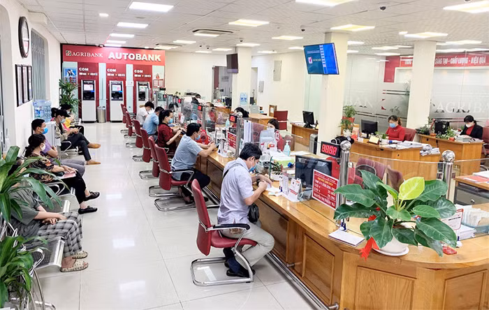 Cần phục hồi mạnh mẽ trên con đường mới -0