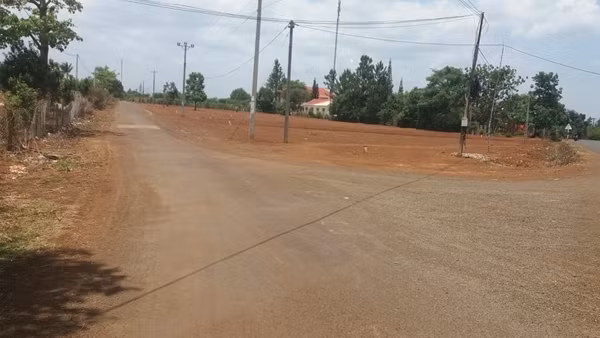 Cái giá phải trả của những người nhắm mắt làm bừa ảnh 6