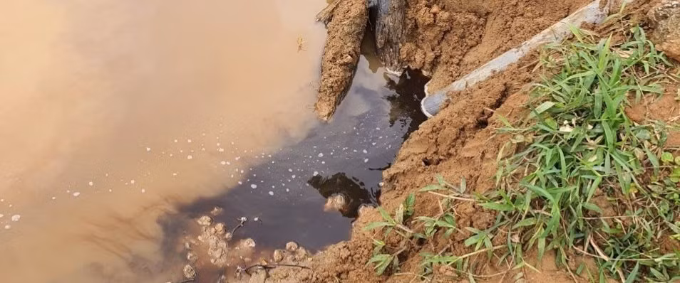 Bắt quả tang 5 cơ sở chế biến cà phê tươi xả thải ra môi trường