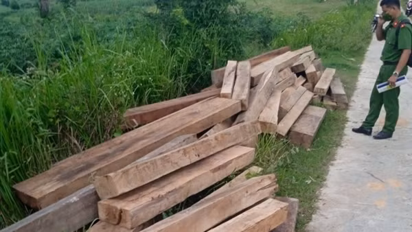 Chở gỗ dổi đụng kiểm lâm, tài xế tăng ga bỏ chạy ảnh 3