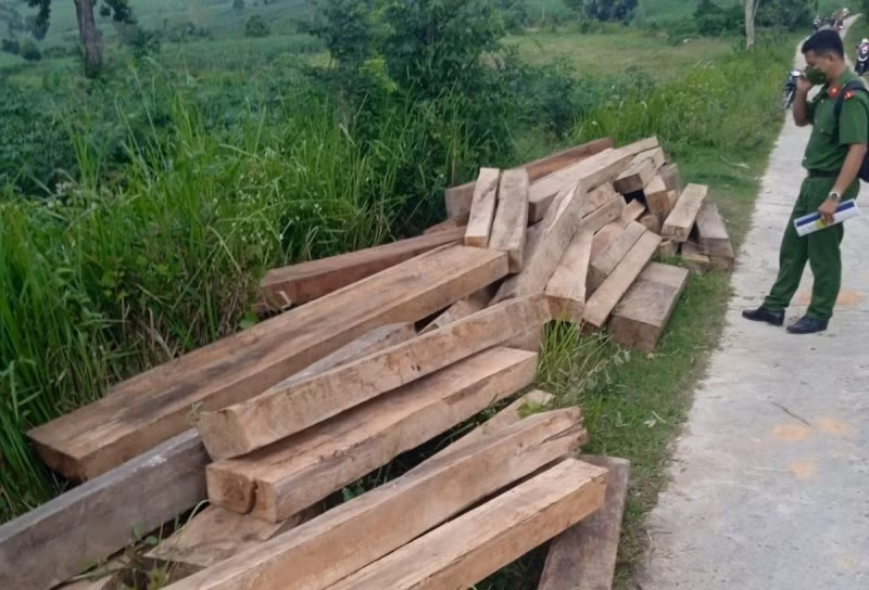 Nhân viên bảo vệ rừng cất giấu gỗ lậu bị xử phạt 60 triệu đồng -0