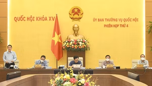 Chờ ngày tái thiết ảnh 2