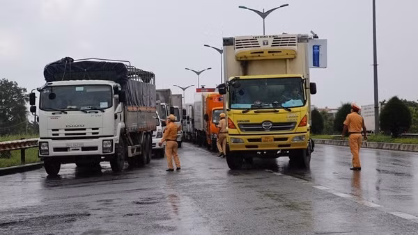 Chờ ngày tái thiết ảnh 3