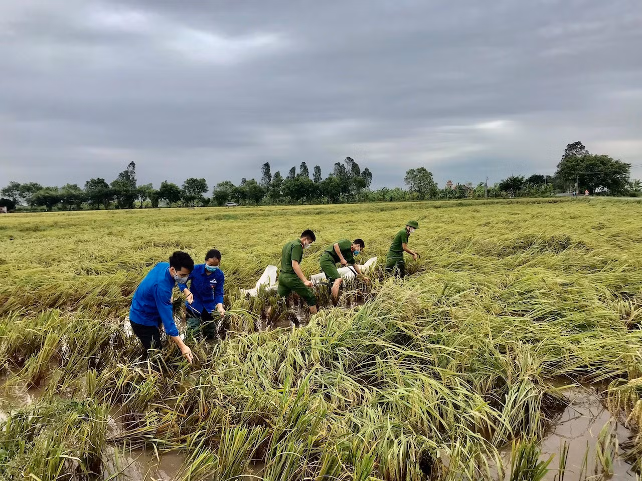 Công an Thái Bình xuống đồng giúp dân 