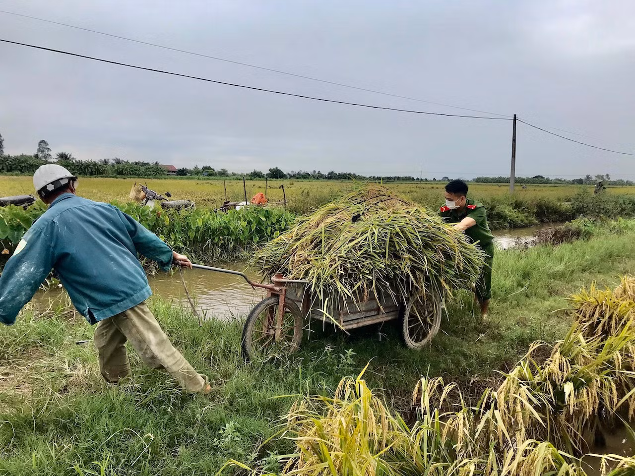 Công an Thái Bình xuống đồng giúp dân 