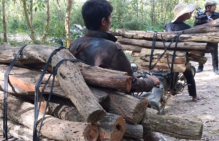 Rừng Ea Sô kêu cứu! -0