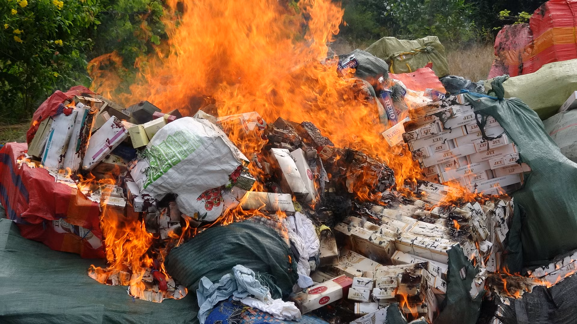 Hàng trăm ngàn gối thuốc lá lậu trị giá hàng tỷ đồng bị tiêu hủy -0