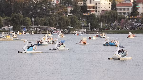 Đà Lạt tạm ngừng hoạt động bến thuyền hồ Xuân Hương để hoàn thiện thủ tục