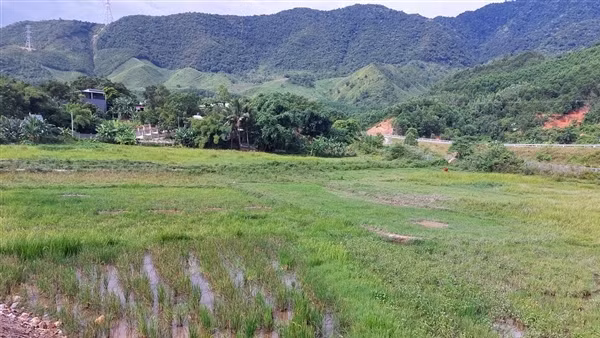 Lãng phí từ việc hàng trăm hécta đất nông nghiệp bị bỏ hoang