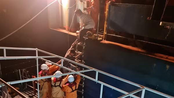 Bốn thuyền viên trên tàu cá mất liên lạc ở Bình Thuận đã trở về ảnh 5