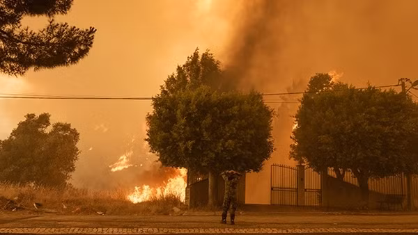 EU nóng kỷ lục, đề nghị đặt giới hạn nhiệt độ để làm việc ngoài trời ảnh 2
