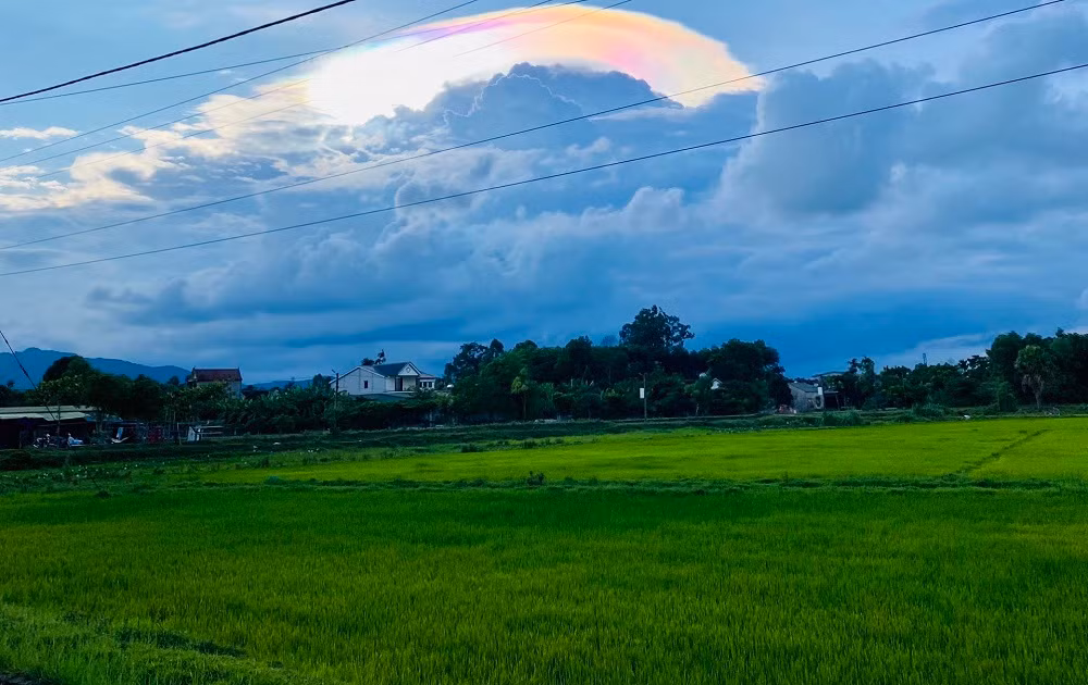 Đang cắt cỏ, người đàn ông bị sét đánh tử vong -0