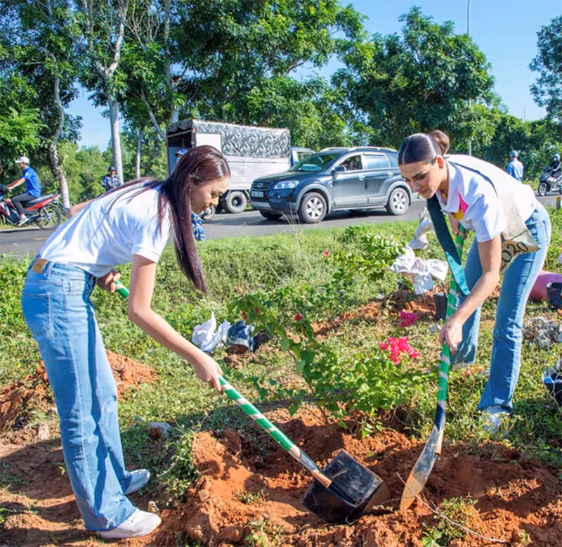 “Triệu cây xanh cho cuộc sống bừng sáng” - từ hành động nhỏ tới mục tiêu phát triển bền vững -0