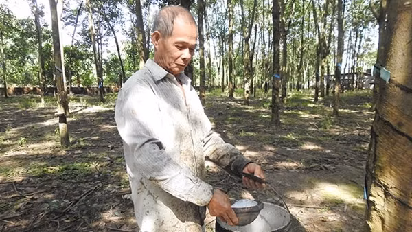 Chuyện xúc động về người thương binh quản giáo ảnh 2