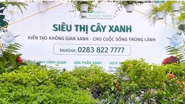 Phát triển bền vững hướng đến kinh tế xanh