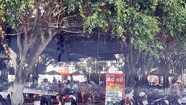 “Đất vàng” công viên bị chiếm dụng hơn 10 năm