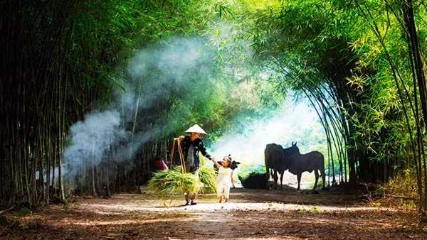 Nắng nóng, oi bức tiếp tục diễn ra ở hầu khắp các tỉnh thành Bắc và Trung Bộ ảnh 3