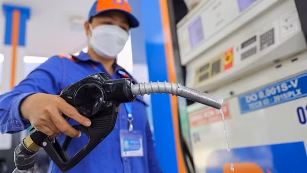 Thường vụ Quốc hội quyết định giảm thuế bảo vệ môi trường đối với xăng, dầu ảnh 4