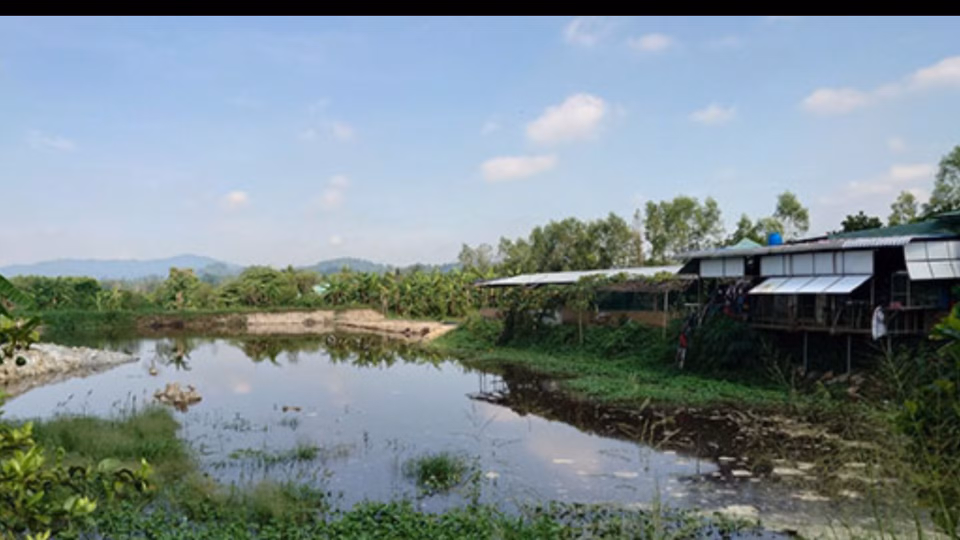 Xử phạt gần 600 triệu đồng với công ty chăn nuôi vi phạm về môi trường -0