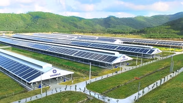 ESG – Xu hướng thế giới và sự “nhận diện” của nhà đầu tư Việt